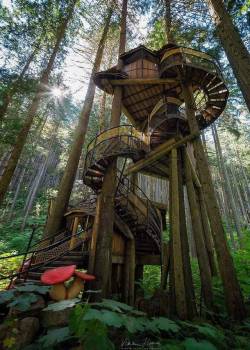 edensmidian:❤️.  Fuck yes! That’s one hell of a treehouse!!