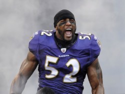 fuckyeahravens:  Guess Whose Bizack!!! The Ravens activated linebacker Ray