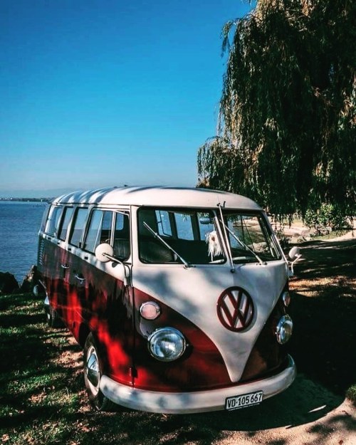 vwbusfanpage:  Speechless! 😍 #vw #vwbus #vwbuslove #vwlove