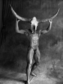 warriorsofmightandmagic:  TaurusBy Paul Freeman