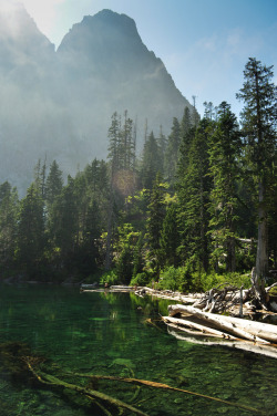 woodendreams:  (by Trevor Ducken) 