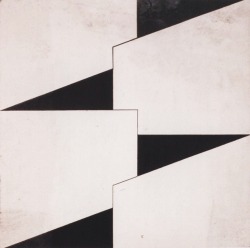 lessons-in-fortification:  Lygia Clark Study for Planes in modulated