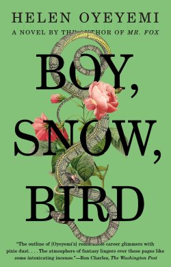 superheroesincolor:   Boy, Snow, Bird: A Novel (2014)   By Helen