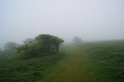 90377:   	fog by Hendrik    