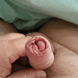 deliciously-uncut:  Reveal #uncutspecial #foreskin #me