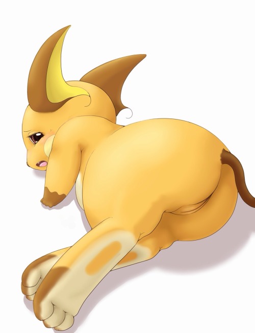 thepokemonfetish:  Best of Raichu pt. ½