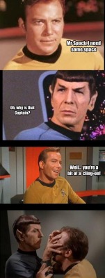 Vulcans can’t stand puns