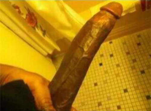 tumblr photo churchofthebigblackpenis 0