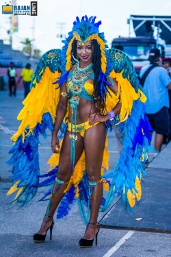 caribbeancivilisation:Trinidad Carnival, 2015