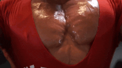 muscleroidaddict