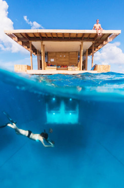 life1nmotion:  The Manta Resort’s Underwater Room Off Pemba