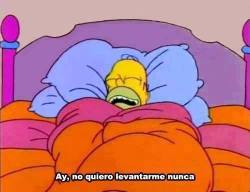 r-a-y-u-n:  Yo todos los días 😴