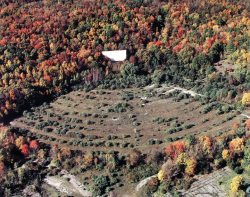 abandonedography:  Long Abandoned Drive-In Theater, Newton, New