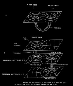 chaosophia218:  Wormholes and Time Travel.Since the 1930’s,