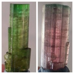 mineralists:  “Green Tourmaline - Dara I Pech - AfghanistanBlue