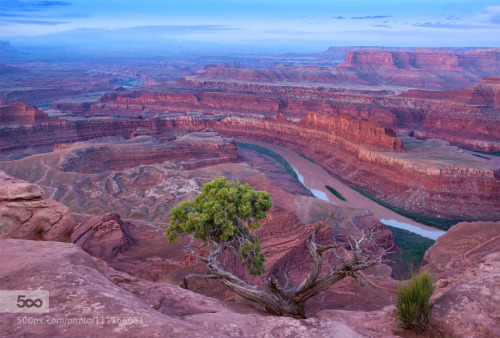 jjordan7:  Sunrise at Dead Horse Point by phyllisplotkin