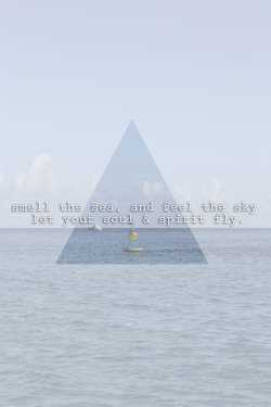 t a y l o r