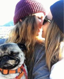 hellobexual: When you’re super happy but the pug isn’t catching