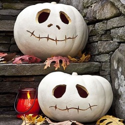 be-anywhere-else:  Ghostly White Pumpkins