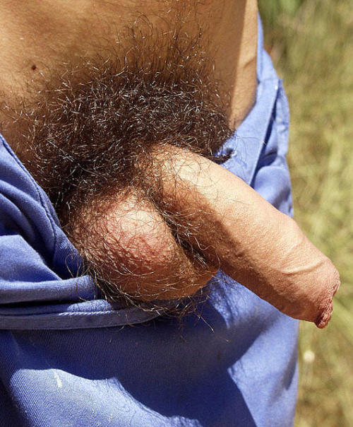 bigthickchubbydick.tumblr.com/post/54797966116/