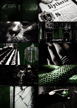 droo216:  houses of hogwarts → slytherin 