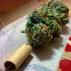 headhiigh:  The pattern on the papers tho