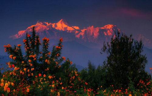 tobirama:Himalayan Sunset