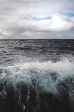 motivationsforlife:  The Norwegian Sea by @zanthia // MFL Go