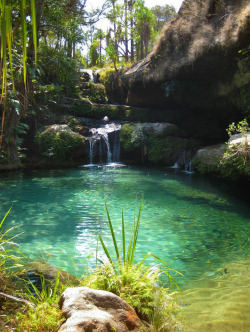 ancientmind:  heyfiki:  Natural pool at Isalo-National-Park,Madagascar