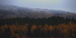 pineandantler:  frost in the hills.  harald gjerholm