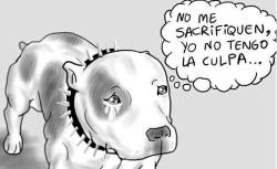 nottefree:  Es muy triste que un perro pague la culpa del dueño.