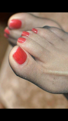 Sexy Toes In Nylons