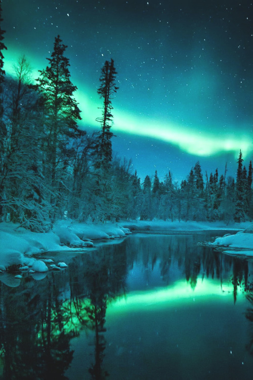 lsleofskye:  Forest glow | imikegraphicsLocation: Lapland, Finland