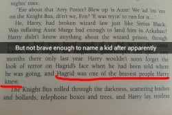 doloresjaneumbridge:  Some snaps from my Harry Potter Reread