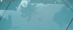 the-anal-rapist:  •○♦☺Click here for more Pale Gifs☺♦○•