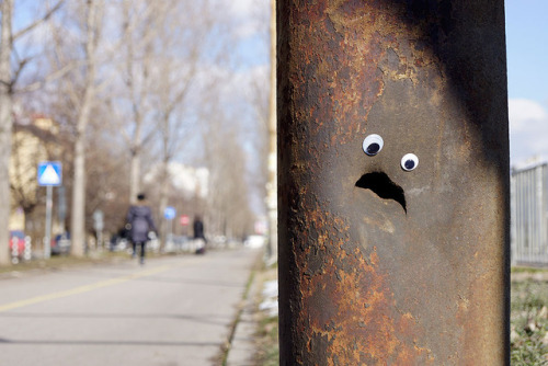 wilwheaton: archiemcphee:  With everything that’s going on in the world right now, googly eyes are more important than ever. The seemingly benign act of eyebombing, like these outstanding works by Bulgarian eyebomber Vanyu Krastev of Eyebombing Bulgaria,