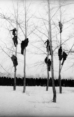 Mikola Gnisyuk - People in Trees (The Rooks Have Arrived), 1964.