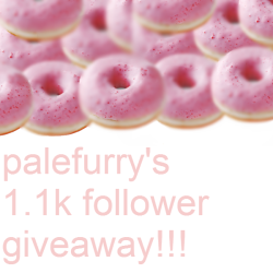 palefurry:  palefurry:  hey all! im finally doing a giveaway