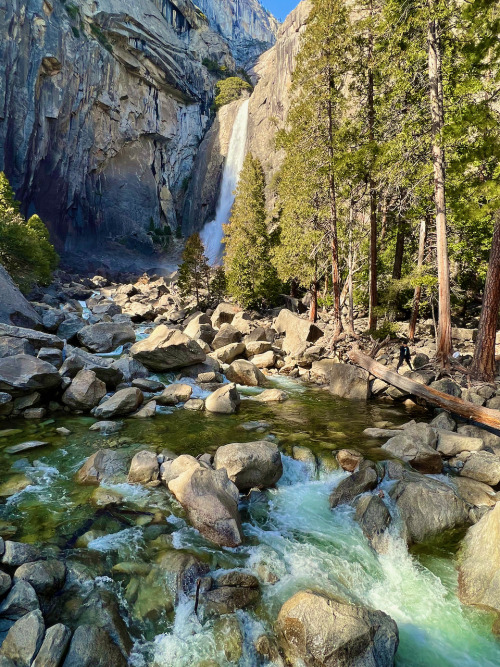 oneshotolive:  Lower Falls Yosemite National Park [3024 × 4032][OC]