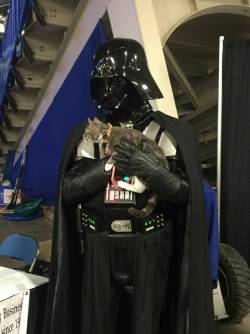 @mustangbratt….. the force is strong in this one!