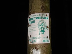 Legend has it the ghost of Walt Whitman is still seen today walking