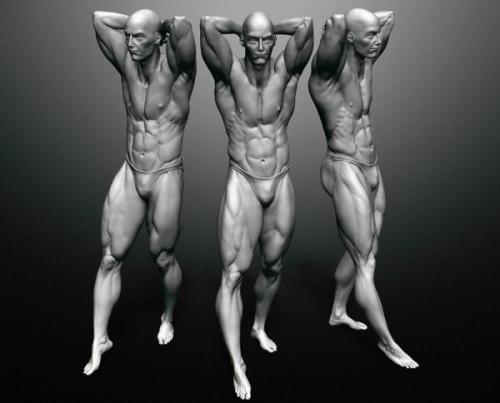 fucktonofanatomyreferences:  A whole motherfuck-ton of specific male anatomy references. [I am so gay for these pictures, you people have no fucking idea.]  