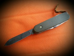 mpdwa:  really all I carry, knife wise a Victorinox Tinker I