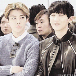 celestyeol:  somehow, chanyeol managed to crack a smile through