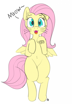 30minchallenge:Jus a sweet lil’ flutter kitty today~Thanks