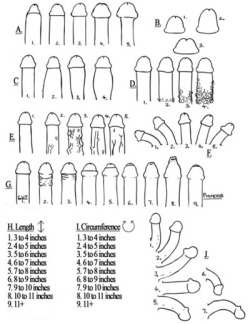 What are you? A: 3, B: 1, C: 1, D: 2, E: 2, F: 3, G: 1, H: 5,