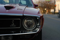 motorcitycars:  Shelby GT500 by Motor City Cars