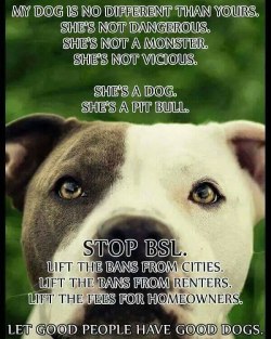 #word #wordsofwisdom #dogsofinstagram #pitbullmum #pitbulladvocate