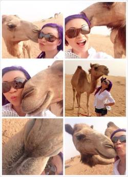 yaya han taking selfies w/ camels