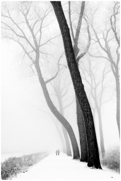 monochromacity:  Wintertime by Peter De Rycke 